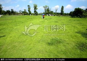 青青青草国产免费观看