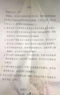 国产第1页浮力影院,揭秘热门影视资源汇聚地